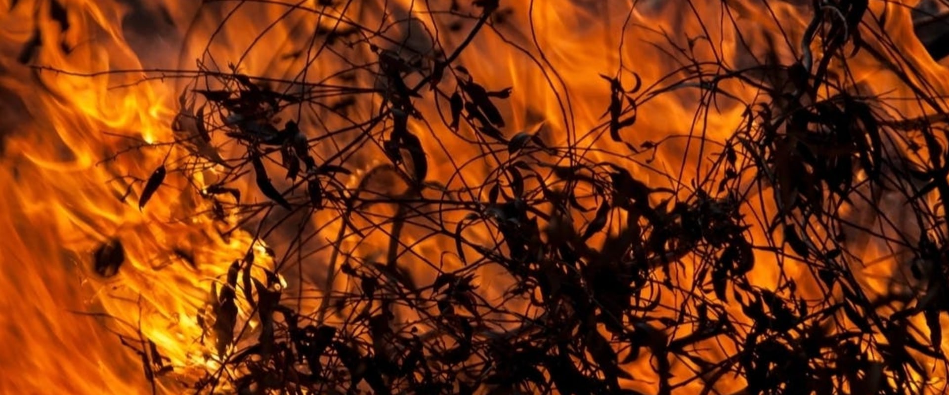 The Importance of Open Burning Restrictions in Morris County, New Jersey