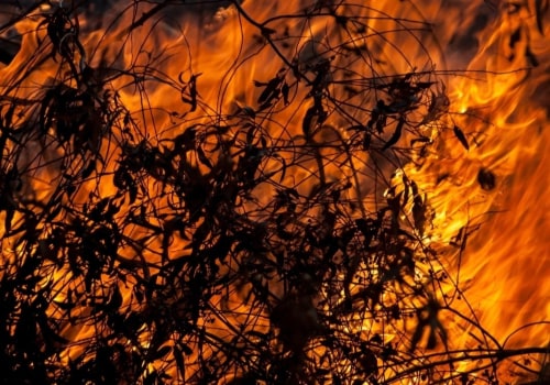 The Importance of Open Burning Restrictions in Morris County, New Jersey